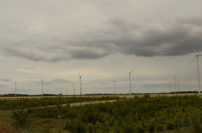 _DSC9358.JPG