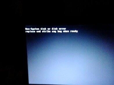 10805004_992740854075396_1782573295_n.jpg