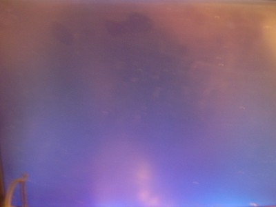 PC210045.JPG