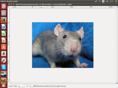 nevim.png
