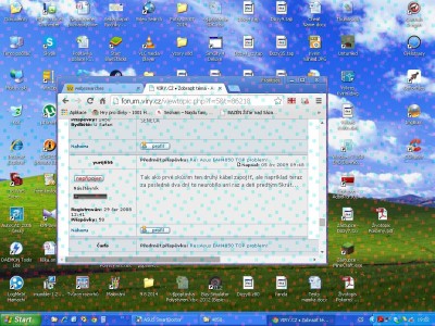 ASUS EAH 4850 - fragmenty v obraze.JPG