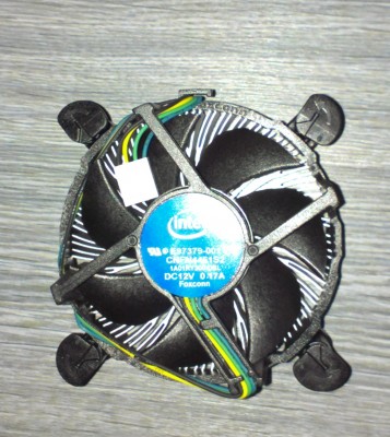IMAG0463-1.jpg