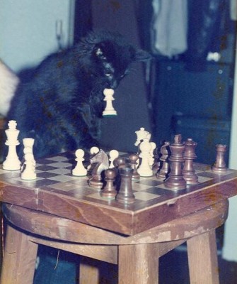 2589.jpg