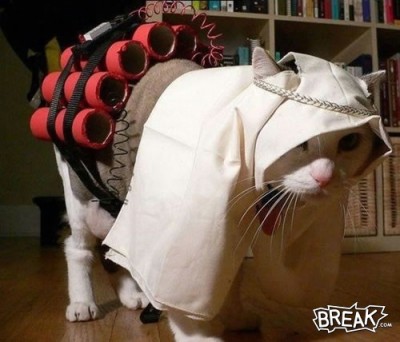 -suicide-kitty.jpg