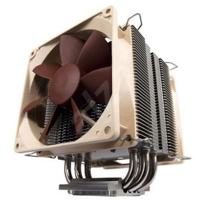 noctua.jpg