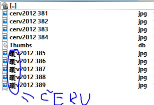 fweewf.PNG