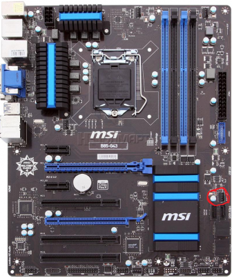 msi.png