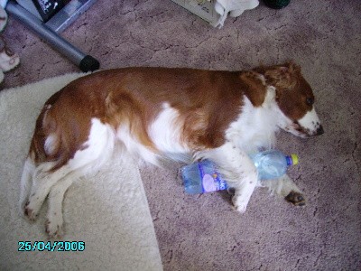 PICT0074.JPG