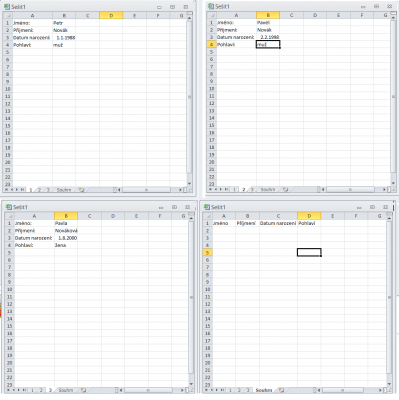excel.png