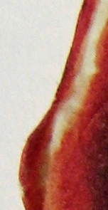 Hádanka No.1.jpg
