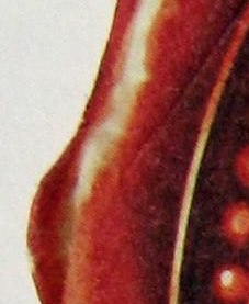 Hádanka No.1_2.jpg