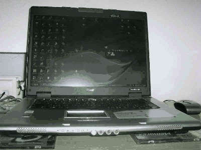 acer.jpg