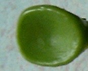 HPIM1580.JPG