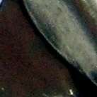 No.1.jpg