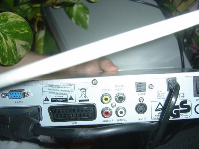1.JPG