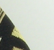 Pic No.1.jpg