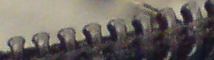 DSC01636 - Kopie.JPG