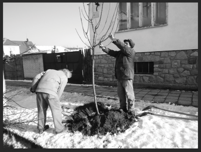 Snímek obrazovky 2017-12-13 v 21.27.43.png