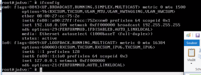ifconfig.png