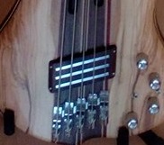 DetailSN.jpg