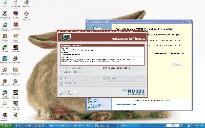 virus2.JPG