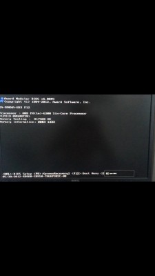 65073719_463052194533120_6223468527425159168_n.jpg