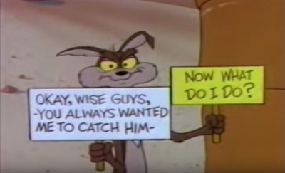 coyote.jpg