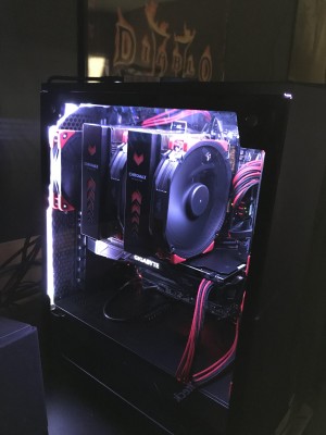 noctua.jpg