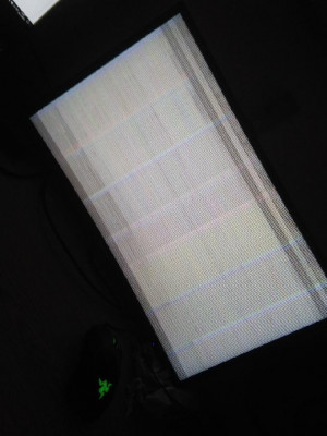 monitor.jpg