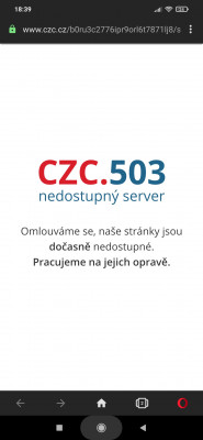 Screenshot_2021-03-21-18-39-11-477_com.opera.browser.jpg