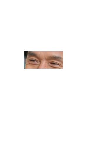 pamela.jpg