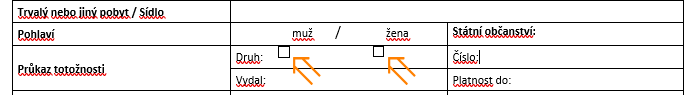 Snímek obrazovky 2024-12-08 115602.png