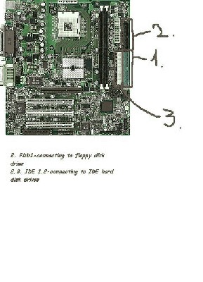 ms6534_large 1.jpg
