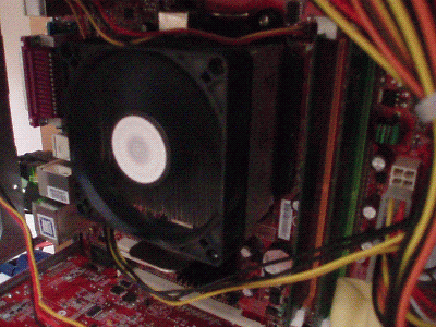 03.GIF