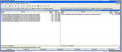 disc c.JPG