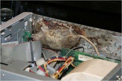 2523computerxmouse.jpg