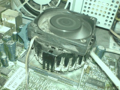 DSC00464.JPG