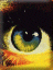 Uživatelský avatar